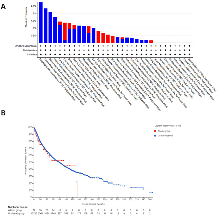PMC11414139 – FIG9