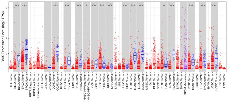 PMC11437519 – FIG1
