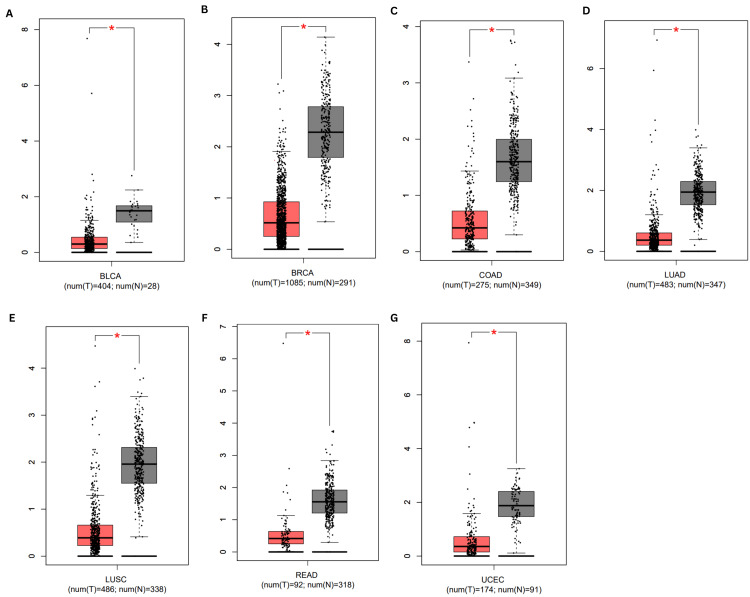 PMC11437519 – FIG2