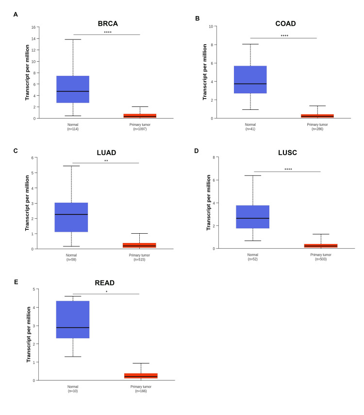 PMC11437519 – FIG3