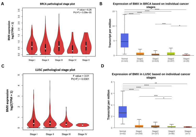 PMC11437519 – FIG5