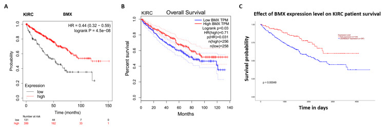 PMC11437519 – FIG7