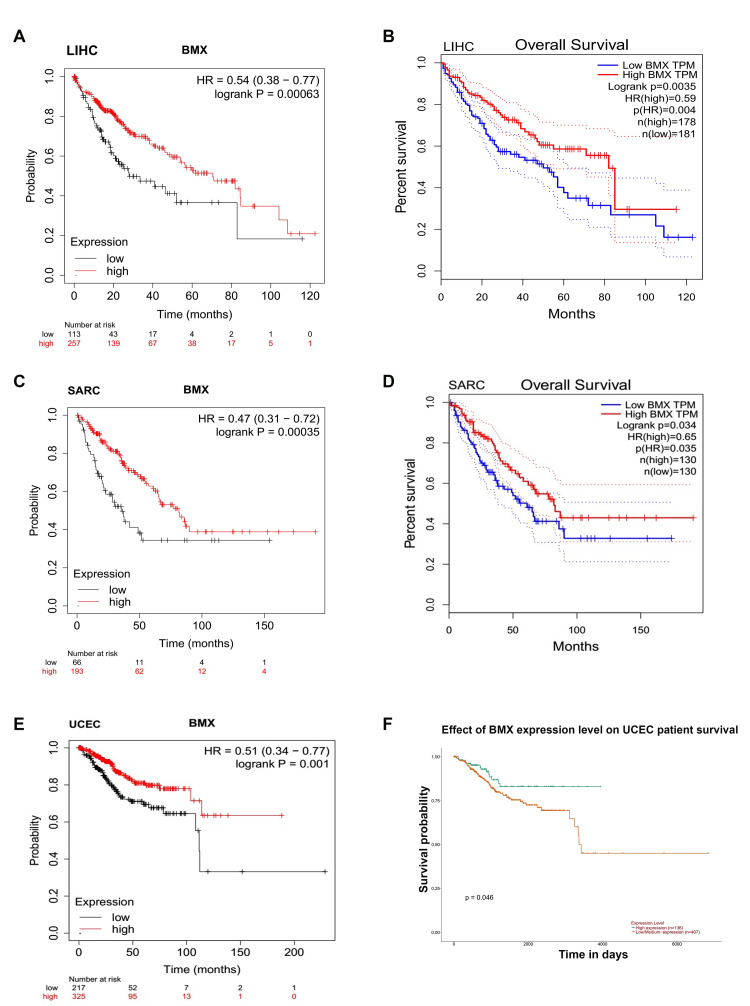 PMC11437519 – FIG8