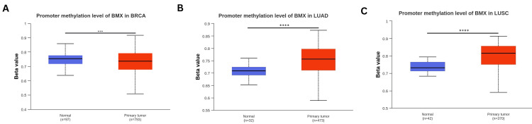 PMC11437519 – FIG9