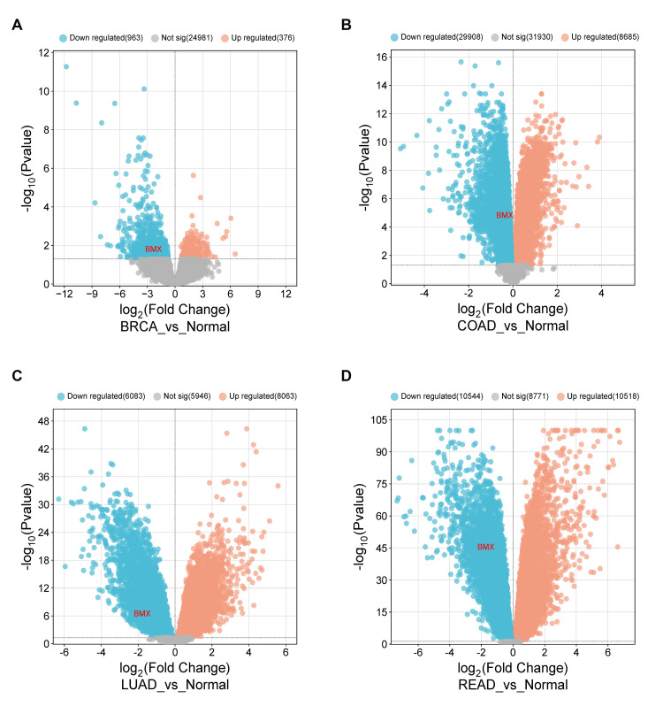 PMC11437519 – FIG12