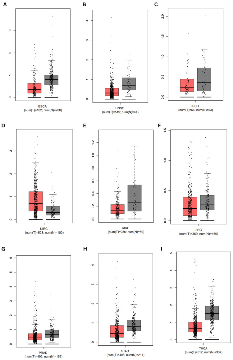 PMC11437519 – FIG13