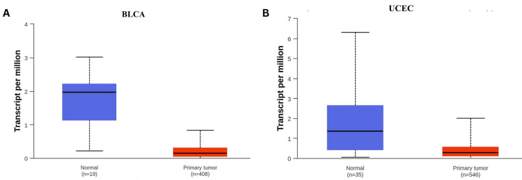 PMC11437519 – FIG14
