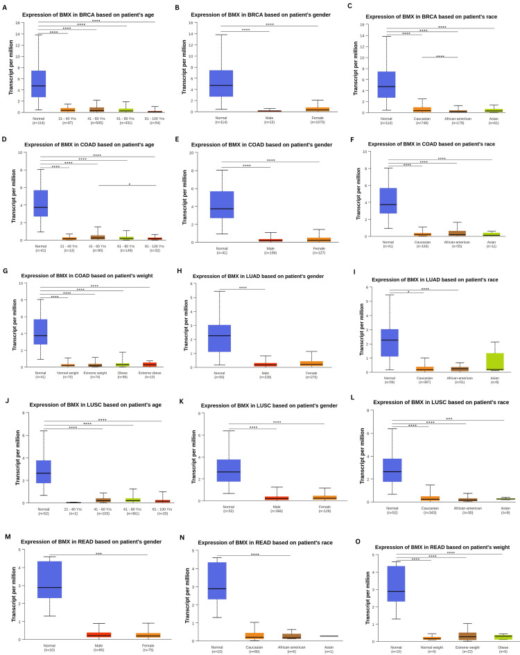 PMC11437519 – FIG15