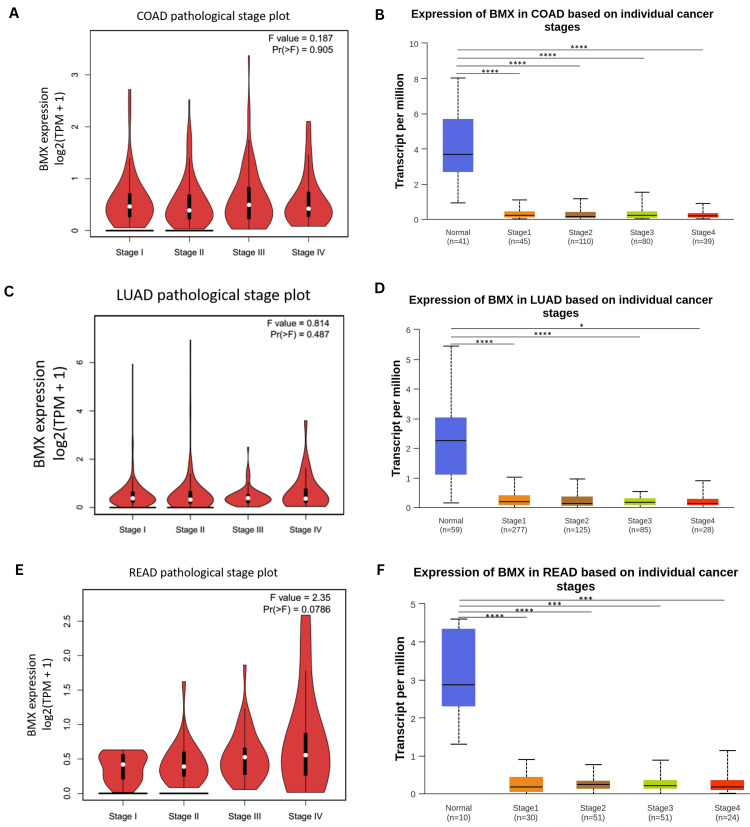 PMC11437519 – FIG16