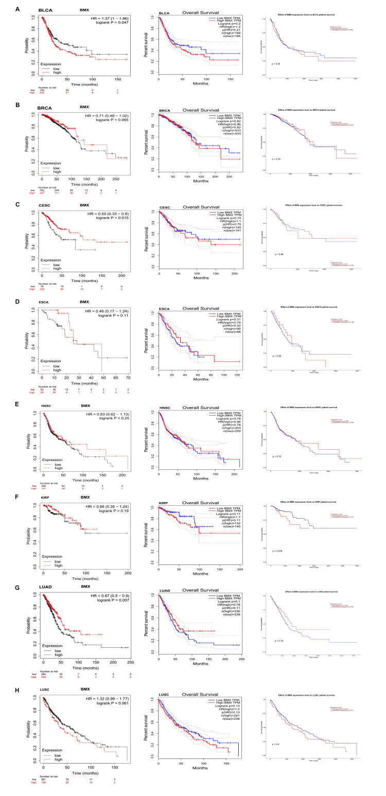 PMC11437519 – FIG17