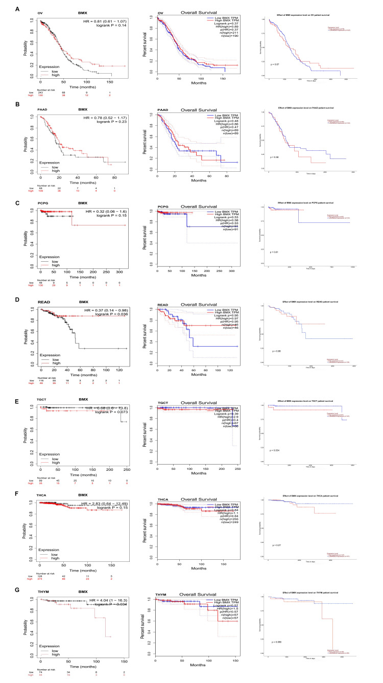 PMC11437519 – FIG18
