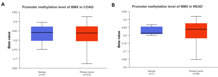PMC11437519 – FIG19