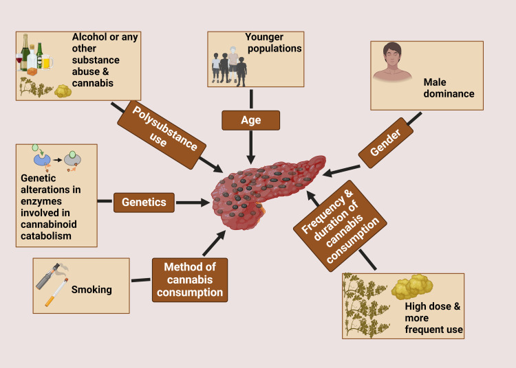 PMC11450675 – FIG1