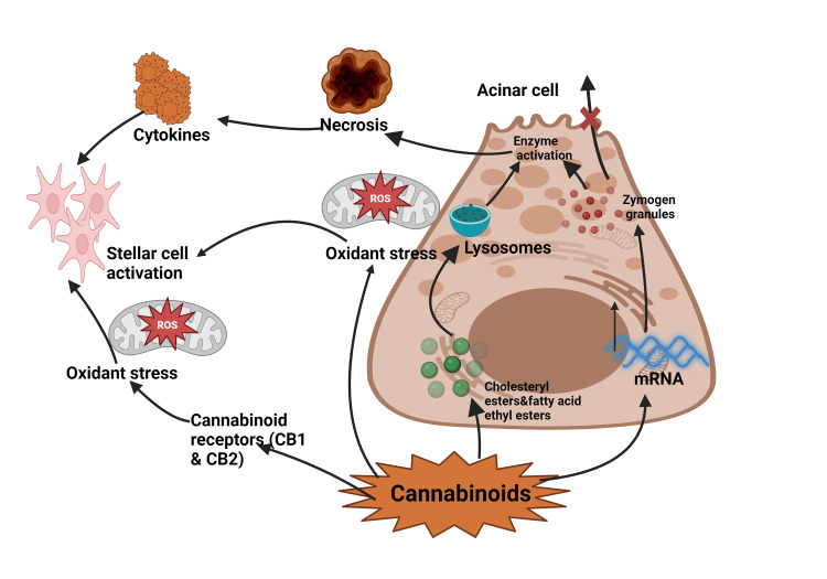 PMC11450675 – FIG2