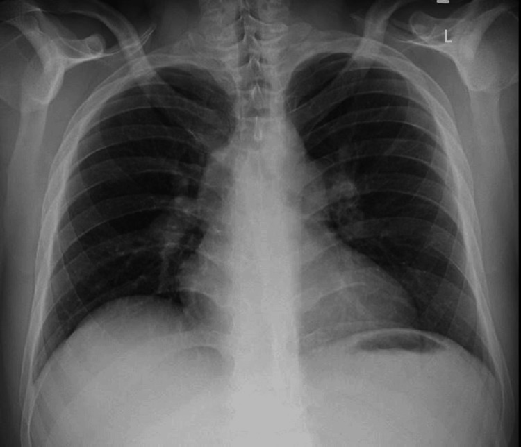 PMC11491558 – FIG1