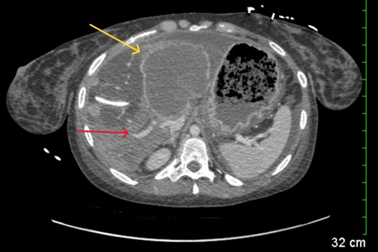 PMC11501856 – FIG1