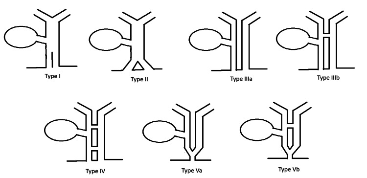 PMC11501856 – FIG6