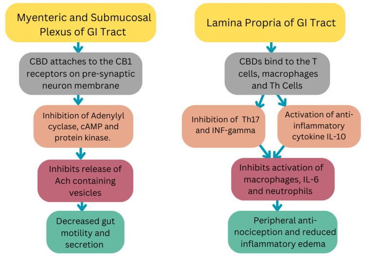 PMC11610528 – FIG1