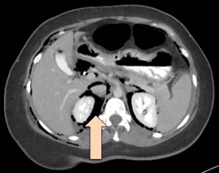 PMC11558017 – FIG3
