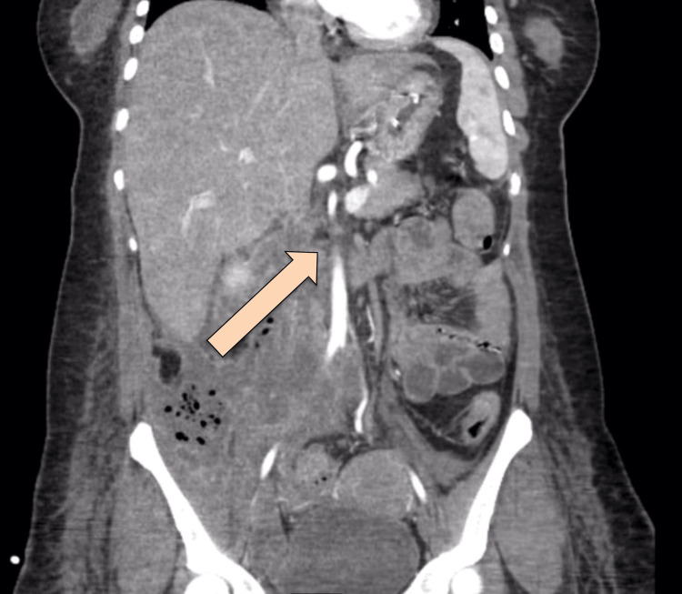PMC11558017 – FIG6