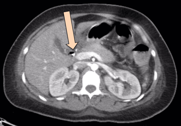 PMC11558017 – FIG7