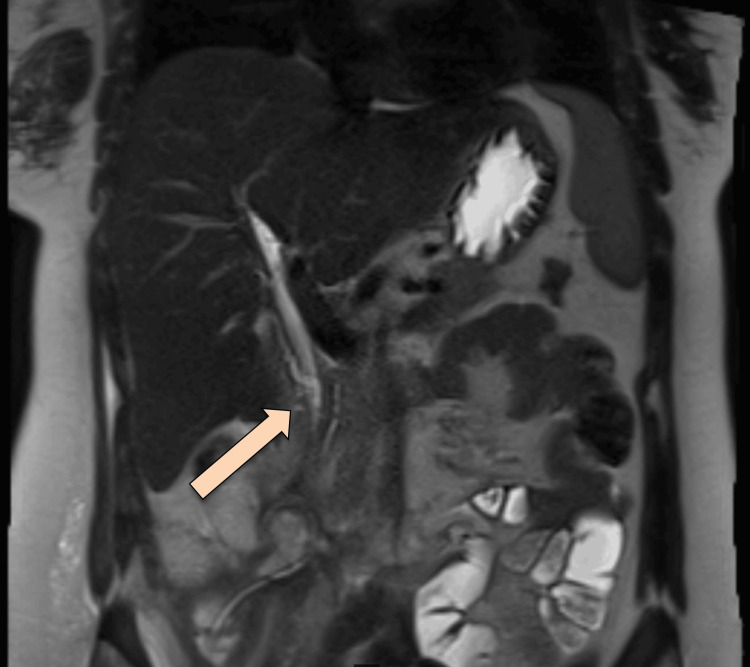 PMC11558017 – FIG8