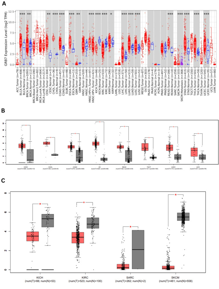 PMC11687406 – FIG1