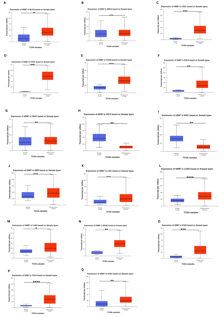 PMC11687406 – FIG2