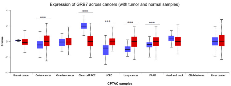 PMC11687406 – FIG3