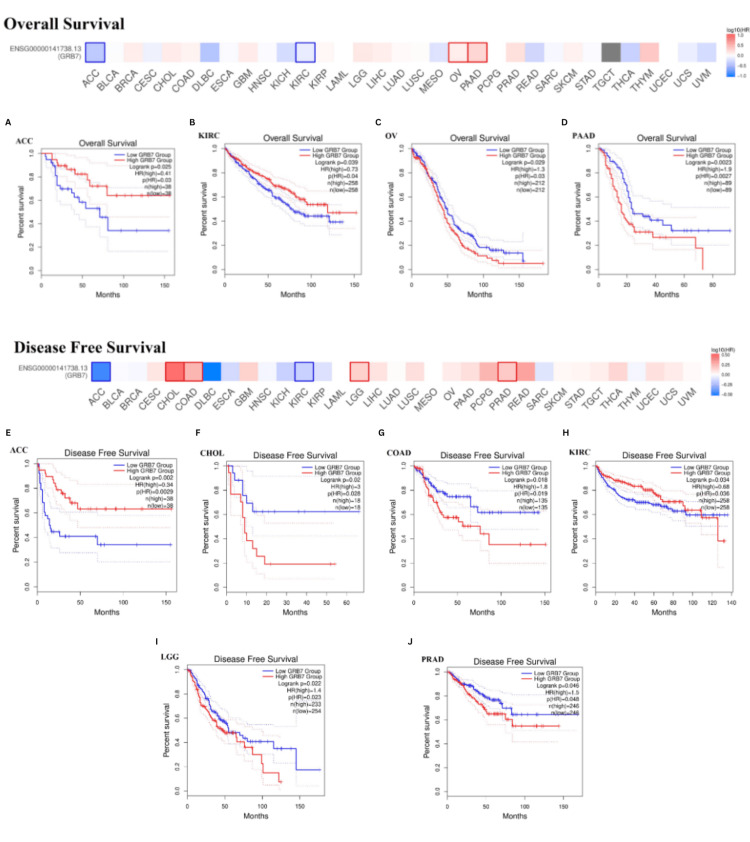 PMC11687406 – FIG6