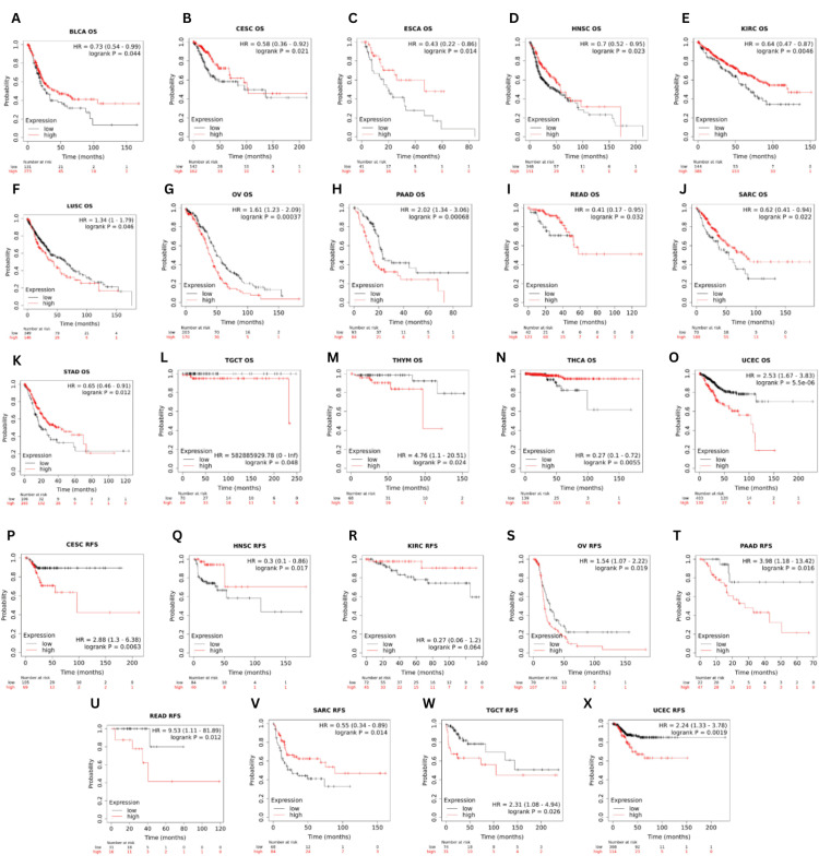 PMC11687406 – FIG7