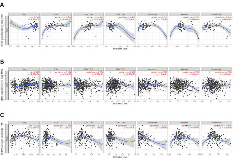 PMC11687406 – FIG9