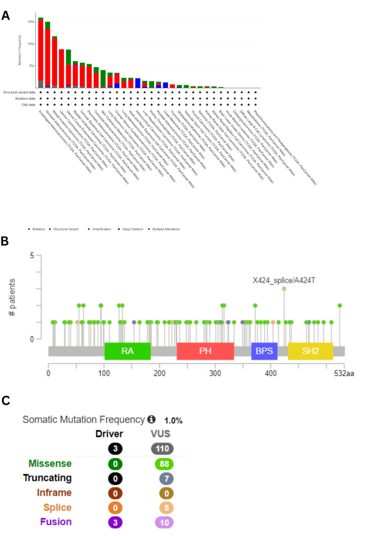 PMC11687406 – FIG10
