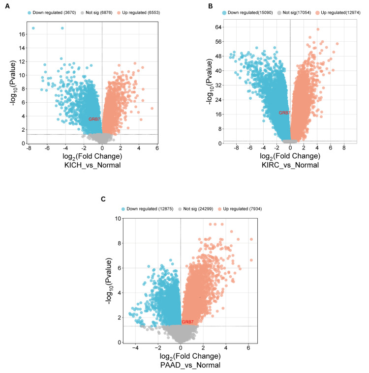 PMC11687406 – FIG11
