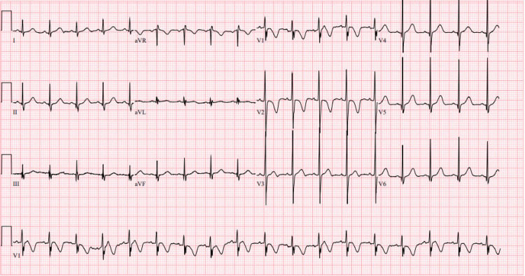 PMC11688573 – FIG1