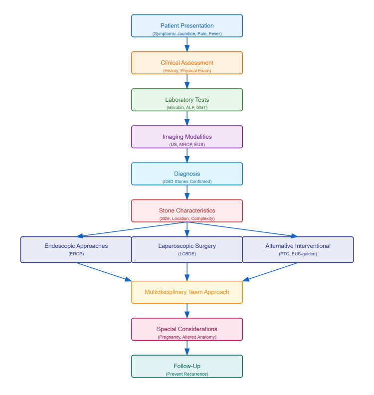 PMC11703643 – FIG1