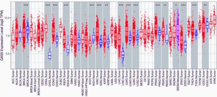 PMC11830420 – FIG1