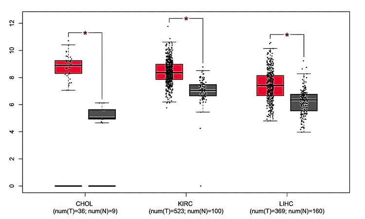 PMC11830420 – FIG2