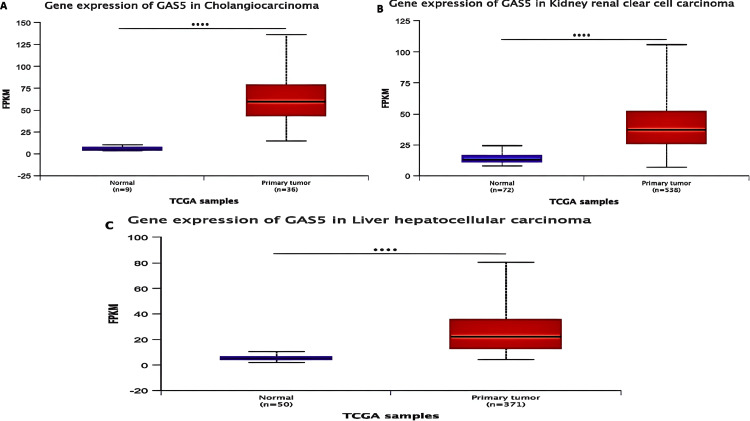 PMC11830420 – FIG3