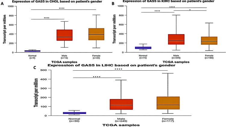 PMC11830420 – FIG5