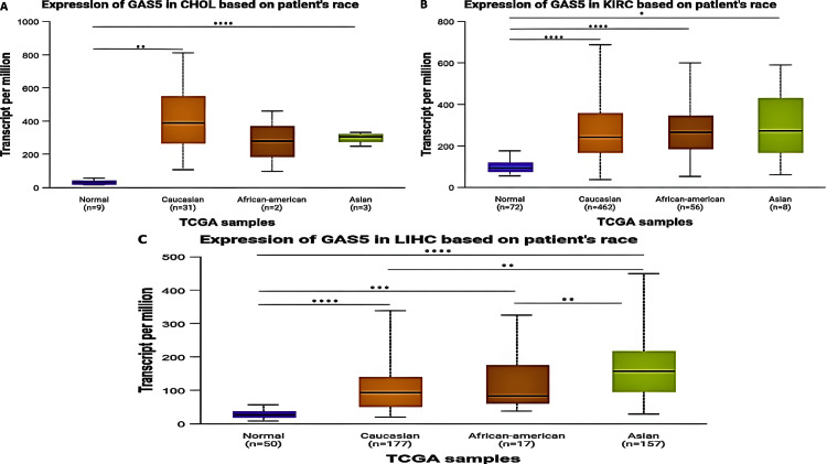 PMC11830420 – FIG6