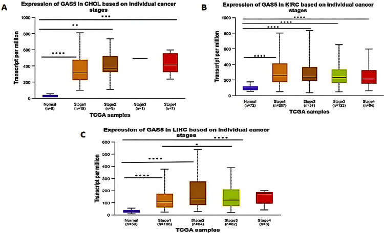 PMC11830420 – FIG7
