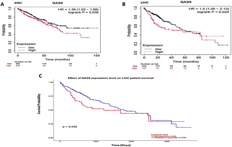 PMC11830420 – FIG9