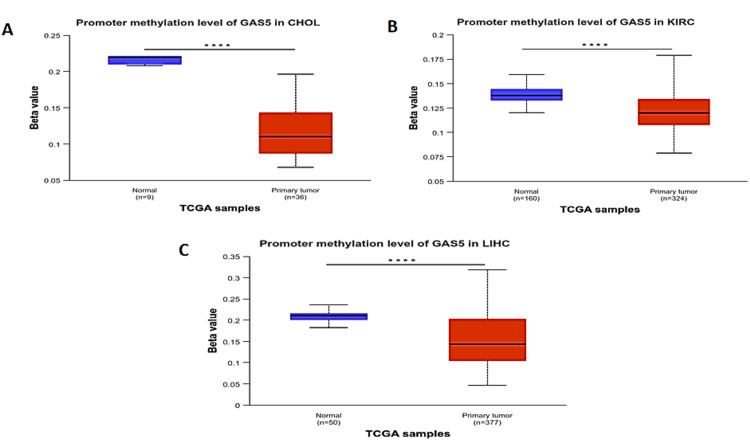 PMC11830420 – FIG10