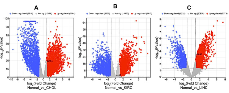 PMC11830420 – FIG12