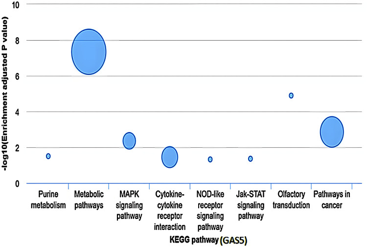 PMC11830420 – FIG17
