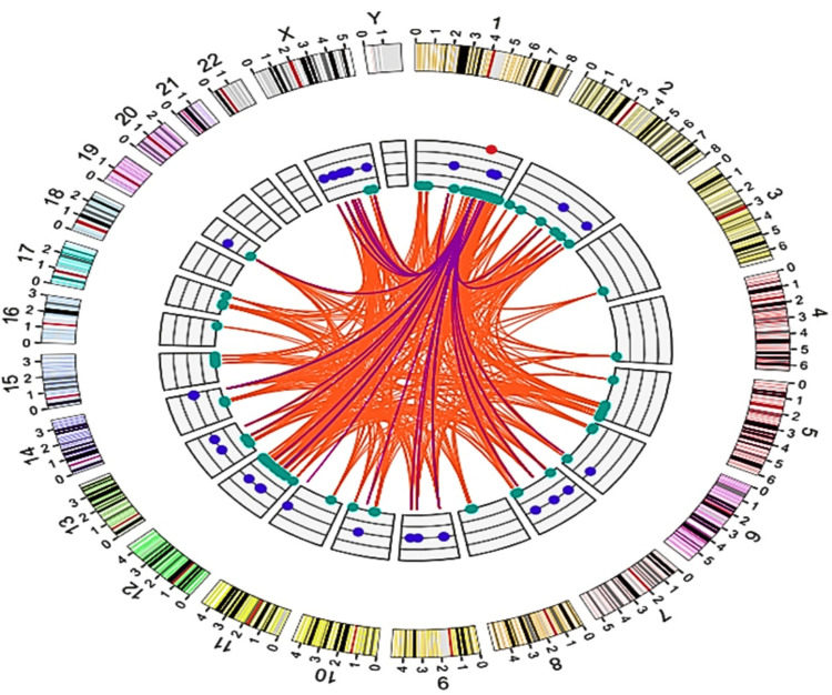 PMC11830420 – FIG18