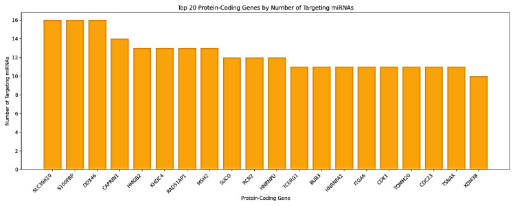 PMC11830420 – FIG20