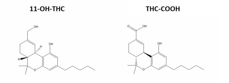 PMC11910202 – FIG1