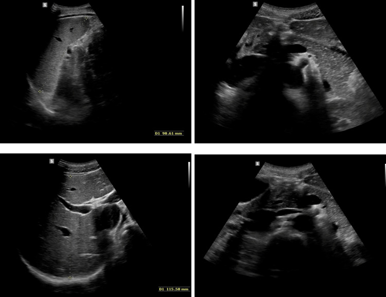 PMC11959201 – FIG1